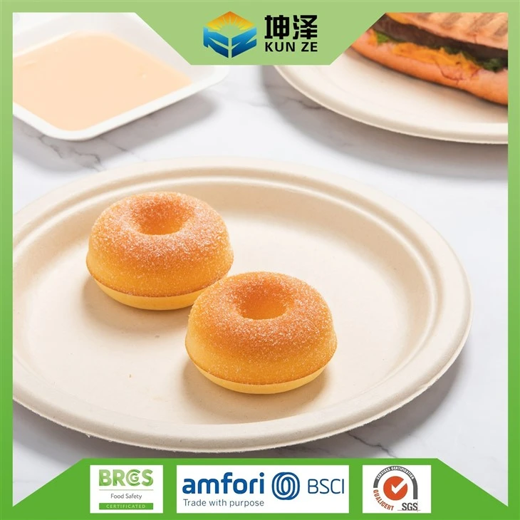 Bagasse Paper Plates
