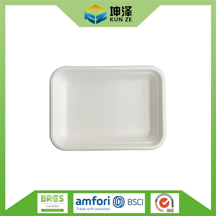 Best Compostable Plates