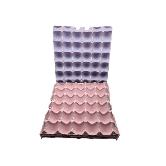 Double Yolk Egg Tray suppliers
