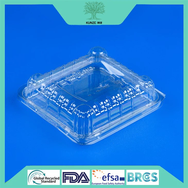 Blueberry Clamshell Packaging