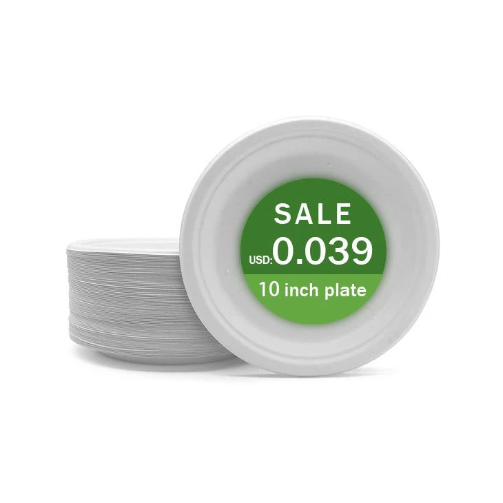 Sustainable Paper Plates