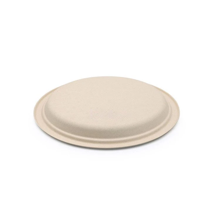 Sustainable Paper Plates